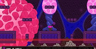 Ninja Turdle - Coronavirus DLC