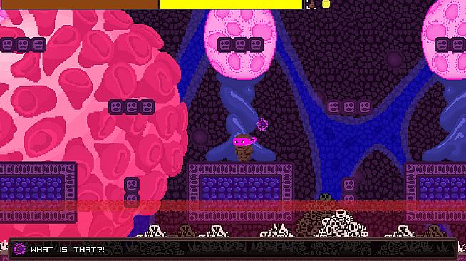 Ninja Turdle - Coronavirus DLC