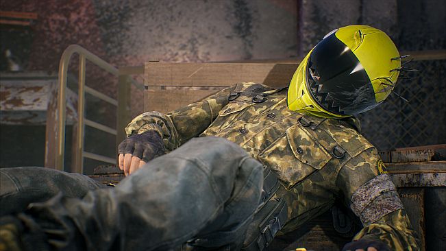 Vigor - Last King of DayZ