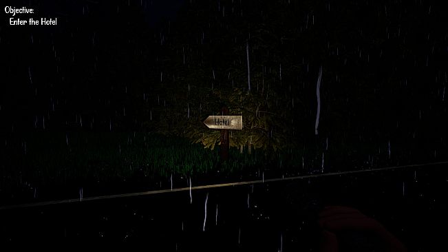 The Long Night