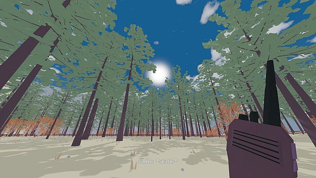 my brother lives in a canyon