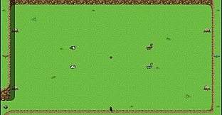 Bunnies & Ballgames!