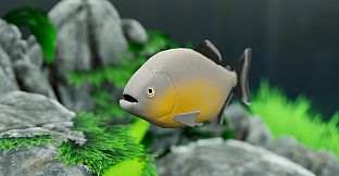 Fish Game - Piranha Fish Pack