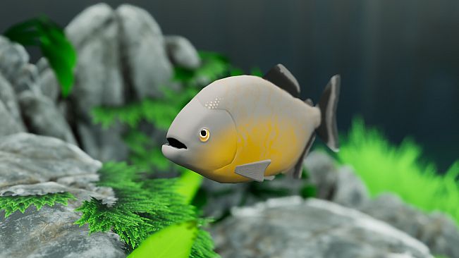 Fish Game - Piranha Fish Pack