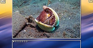 Super Jigsaw Puzzle: Generations - Sealife Puzzles