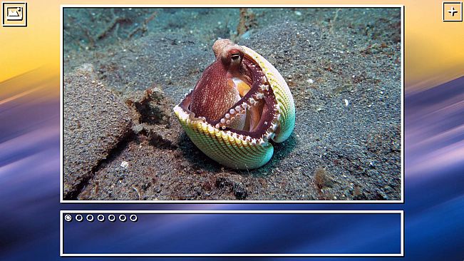 Super Jigsaw Puzzle: Generations - Sealife Puzzles