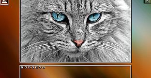 Super Jigsaw Puzzle: Generations - Cats Puzzles