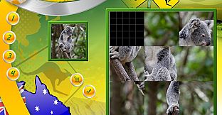 Wildlife Creative Studio