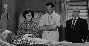 ROUGH KUTS: The Wasp Woman