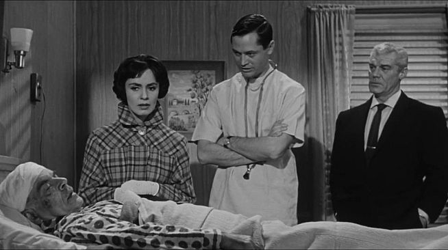 ROUGH KUTS: The Wasp Woman