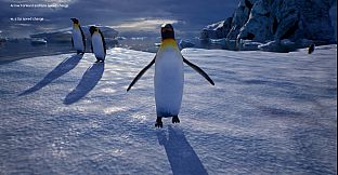 Life of a Penguin