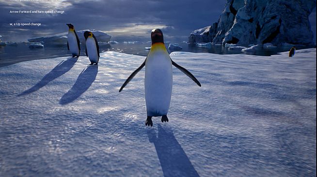 Life of a Penguin