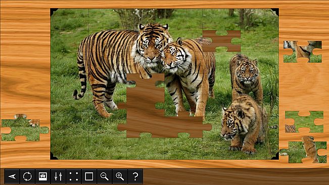 Jigsaw Puzzle World - Lions & Tigers