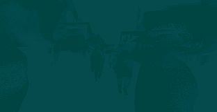 Thank you for sharing your world