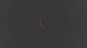 The Last E.L.I.T.E.s