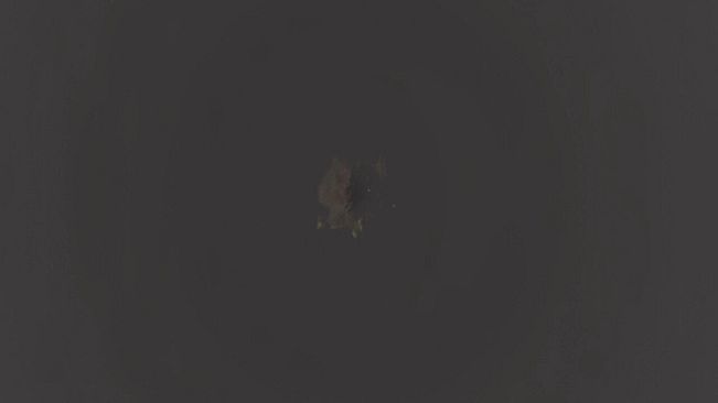 The Last E.L.I.T.E.s