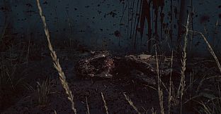 Abnormal1999:Sector 49