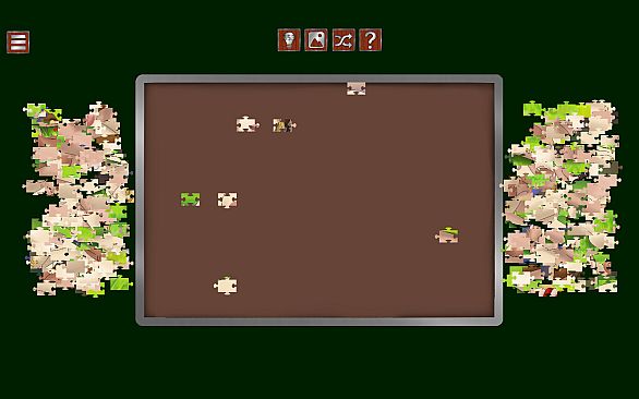 The Medieval Sex Jigsaw