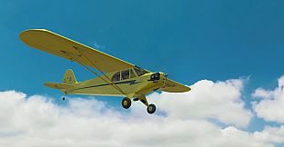 RealFlight Evolution - 2025 Year Content Pass