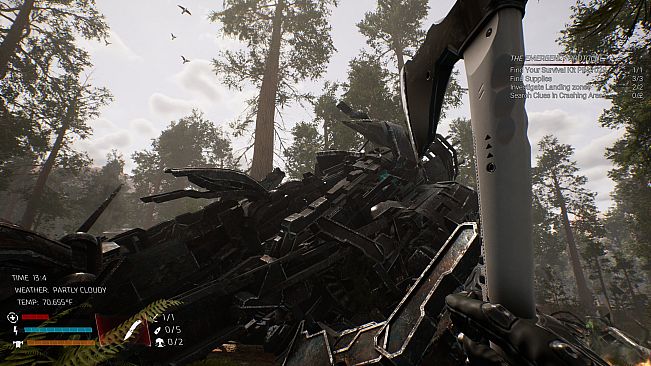 The Nightmare Catcher