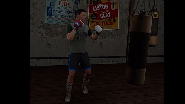 True Boxing VR