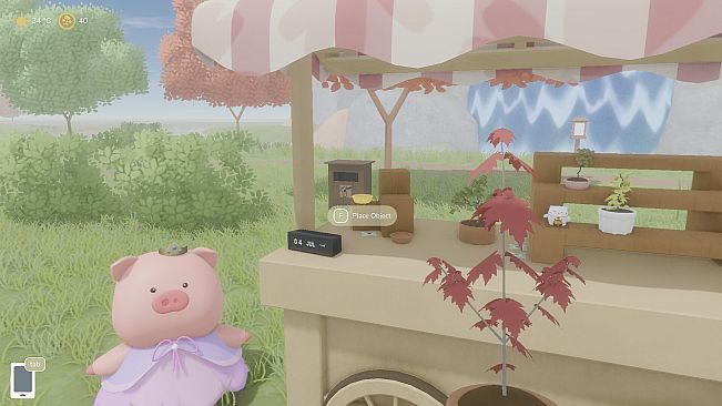 Bonsai Island