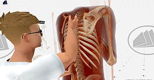 MEDICALHOLODECK. Surgery, Anatomy, Medicine, Education, and DICOM Imaging in VR. For Medical Students, Nurses, Doctors and Surgeons.