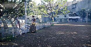 Diamond Legacy Online