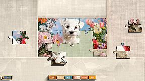 Jixo: Summer Dreams Collector's Edition