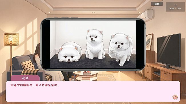 Pet Diary