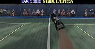 Soccer Simulation