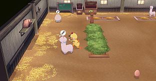 STORY OF SEASONS: Grand Bazaar - Trunk of Transformation
