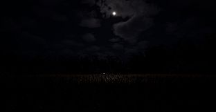 Deep in the Fields