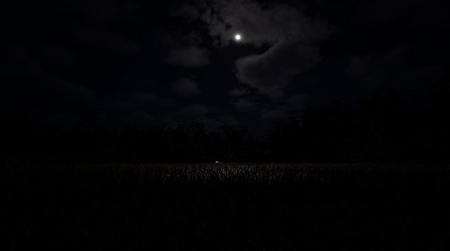 Deep in the Fields