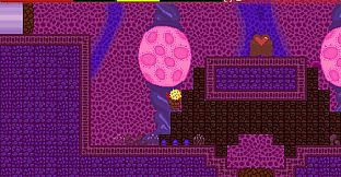 Ninja Turdle - Coronavirus DLC