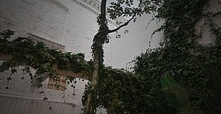 VR Houses: Glass Apartment