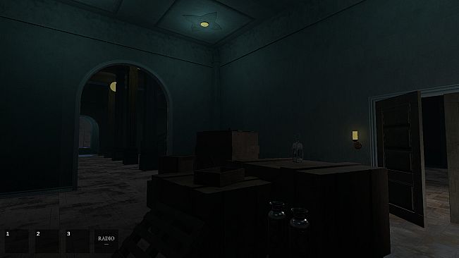 Empty House