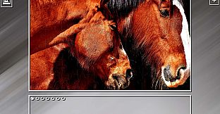 Super Jigsaw Puzzle: Generations - Horses Puzzles