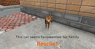 Rescue Over 100 Town Cats