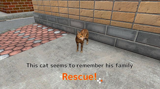 Rescue Over 100 Town Cats