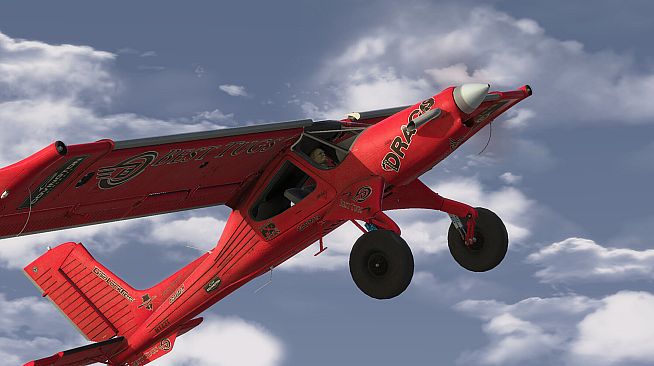 RealFlight Evolution