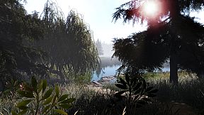 Professional Fishing