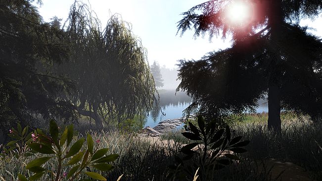 Professional Fishing