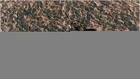 Awesome Metal Detecting