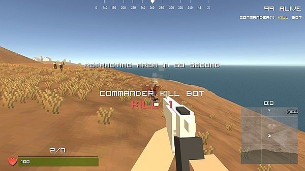 Battle Royale Survival