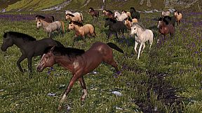 HORSE LIFE: find horses in open world, survive in wild nature as a foal or pony