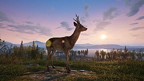 Deadside: Deluxe Pack