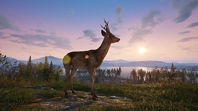 Deadside: Deluxe Pack