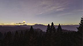 Prologue: Go Wayback!