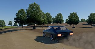 Sprint Rally